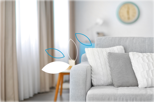 مشروع تأثيث منازل أسر السجناء